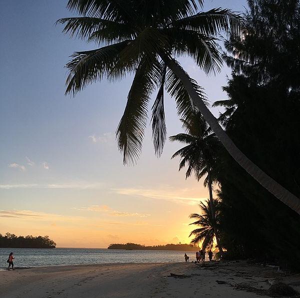 日落在棕榈树的海滩上